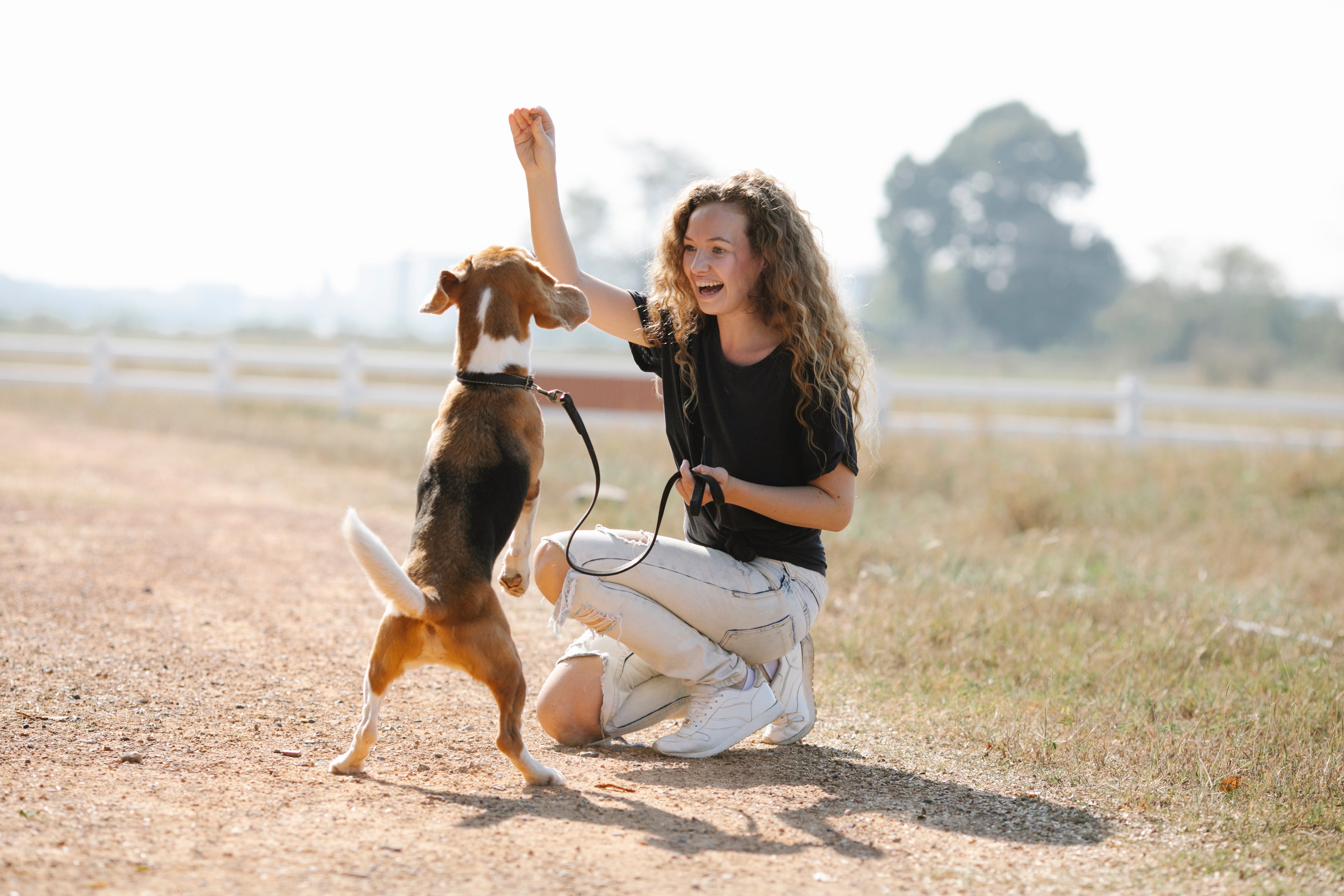Tips for Puppy Training: From Basics to Advanced Commands