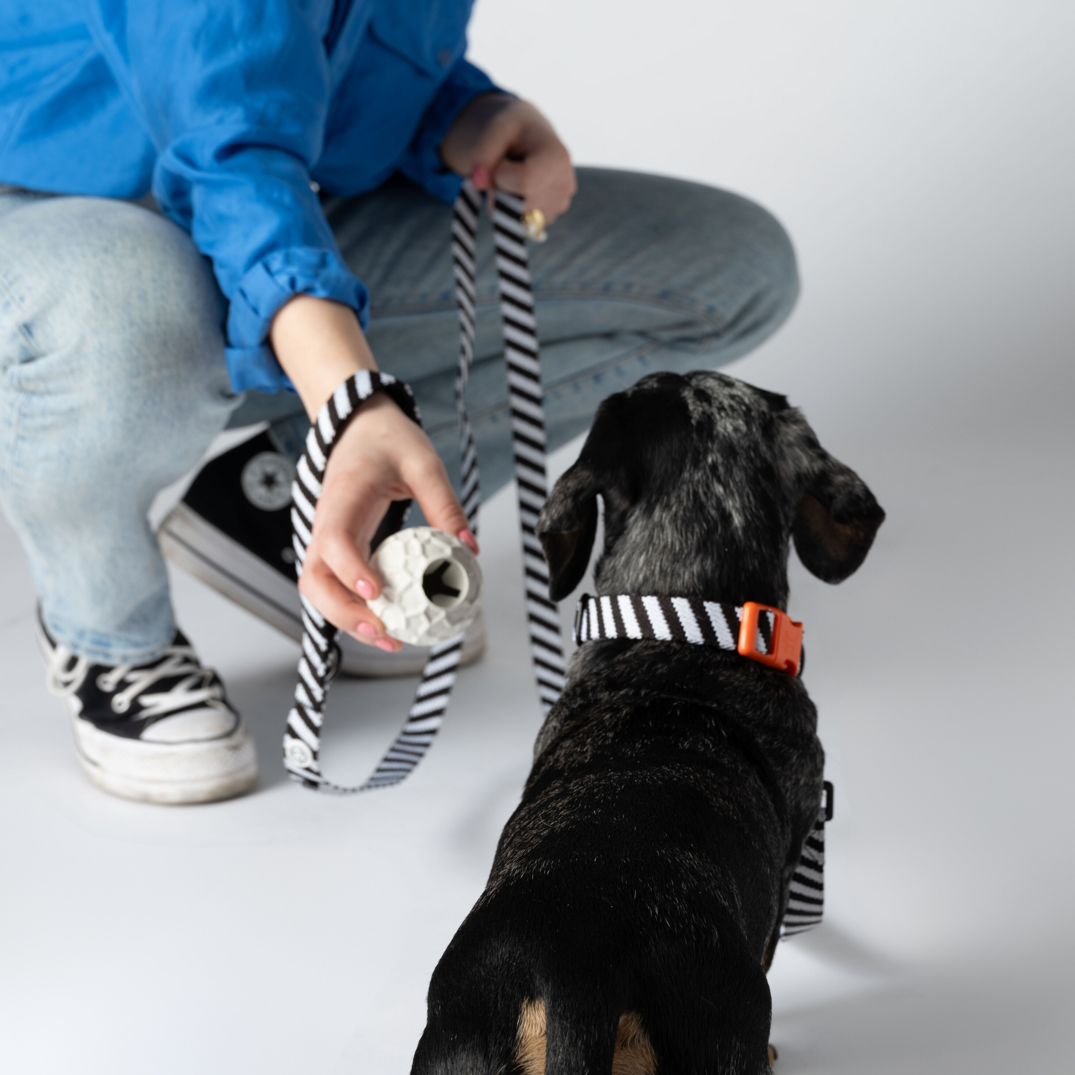 Hållbara hundleksaker och tillbehör för miljömedvetna.