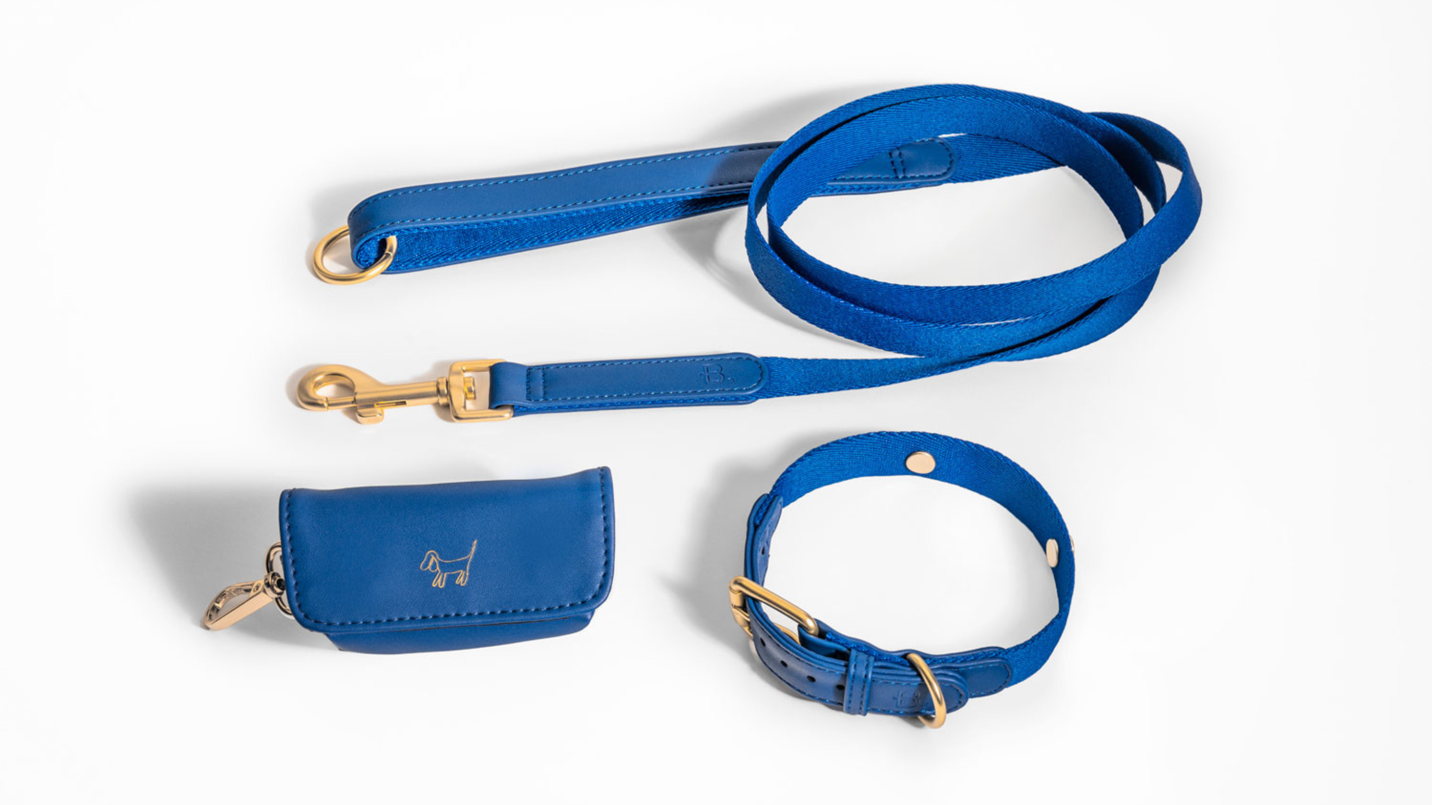 Vegan Leather Collar Walk kit + Poop Bag Holder