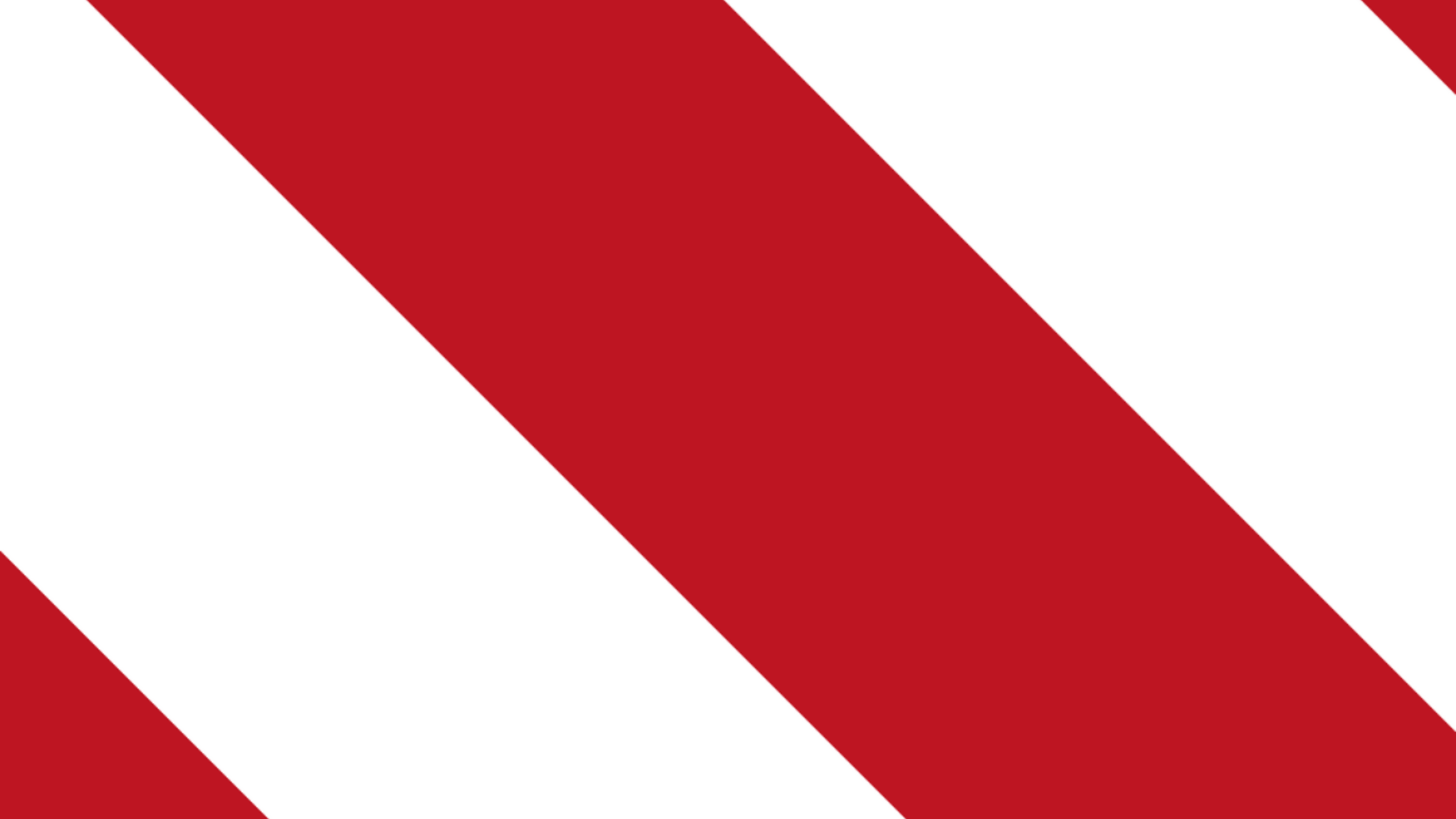 Rot-weißes Hundezubehör