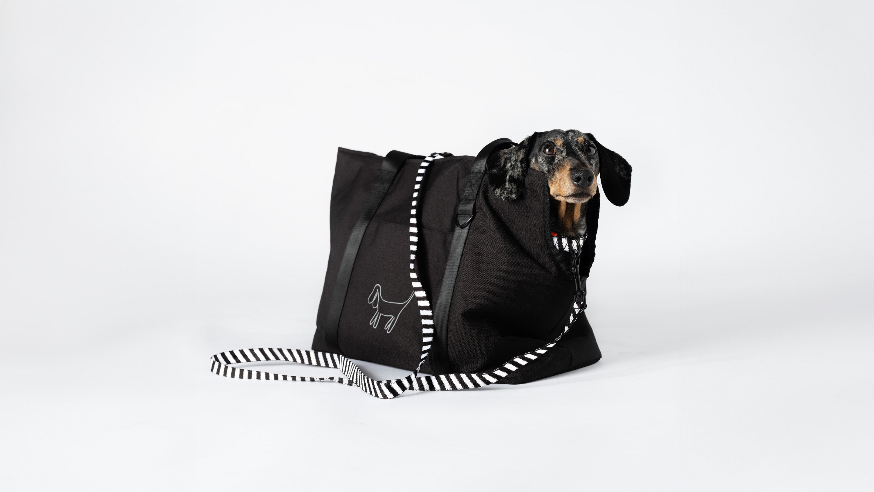 Inspirerande mode för hundar – skapa unik stil