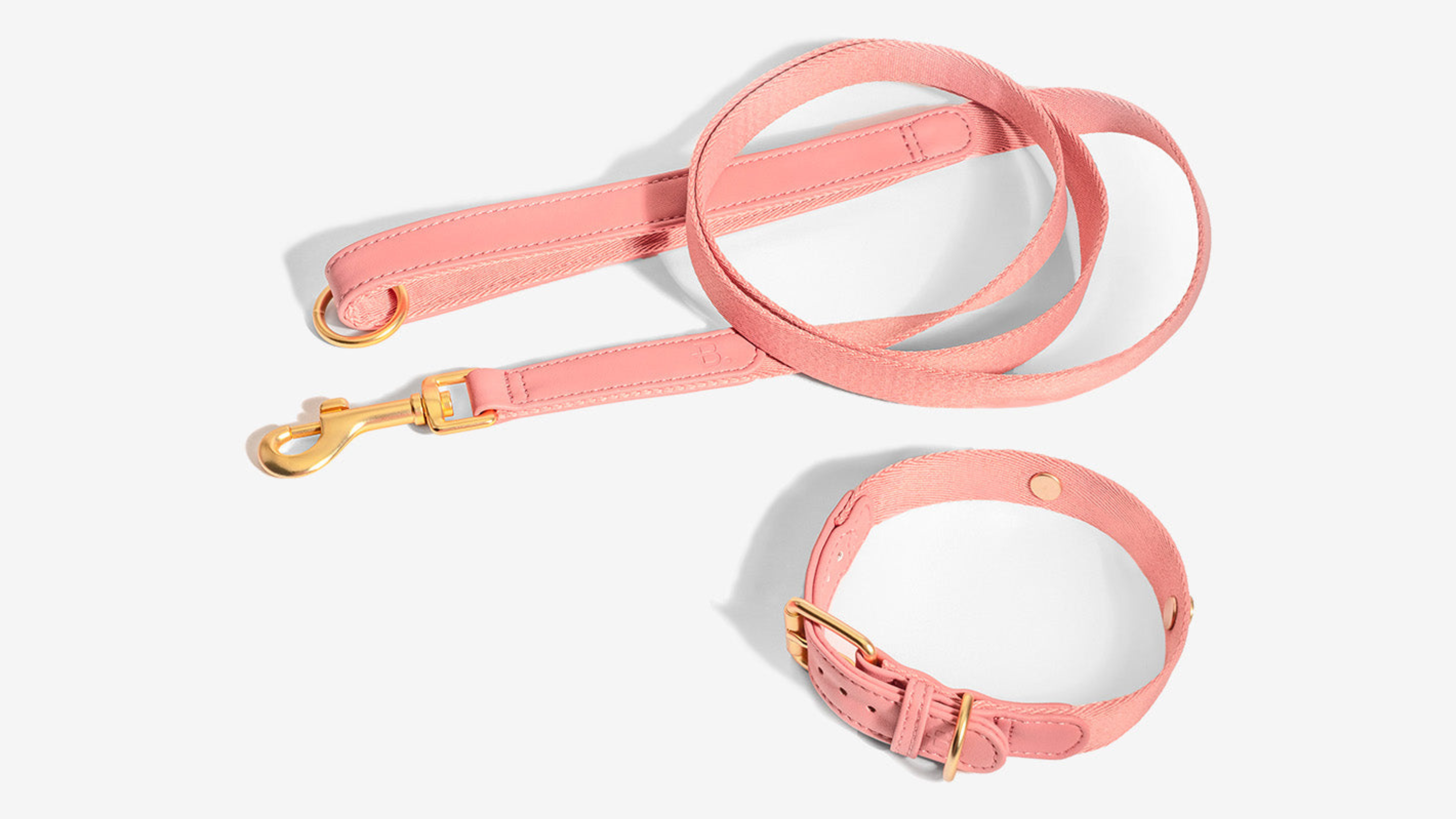 Vegan Leather Collar Walk kit