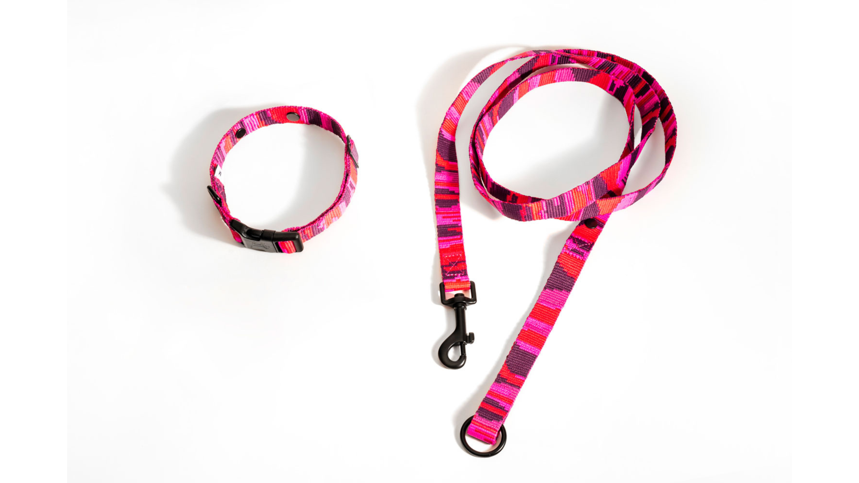 Lätta hundhalsband Walk Kit