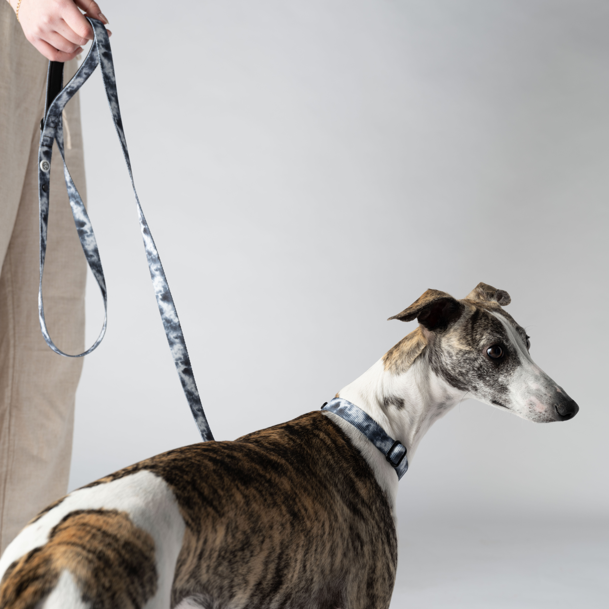 Tie dye sales rope dog leash