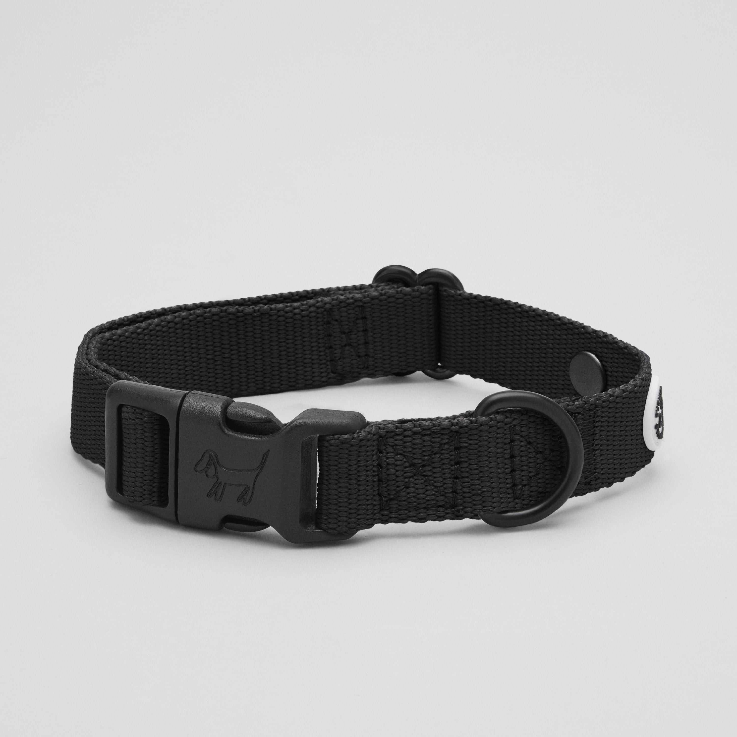 Pitch Black Dog Collar Walk Kit