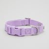 Lilac Dog Collar - Barkalot