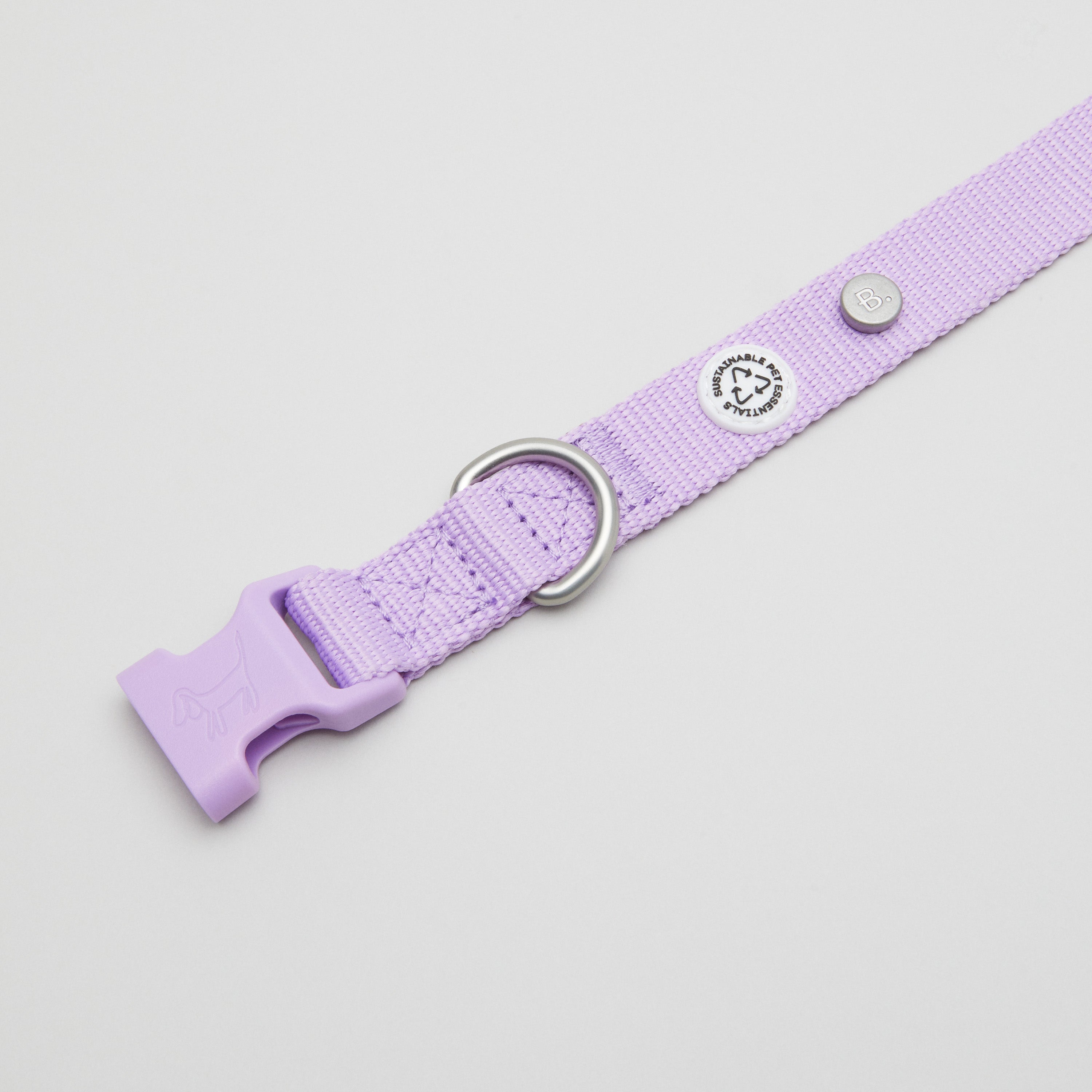 Lilac Dog Collar Walk Kit