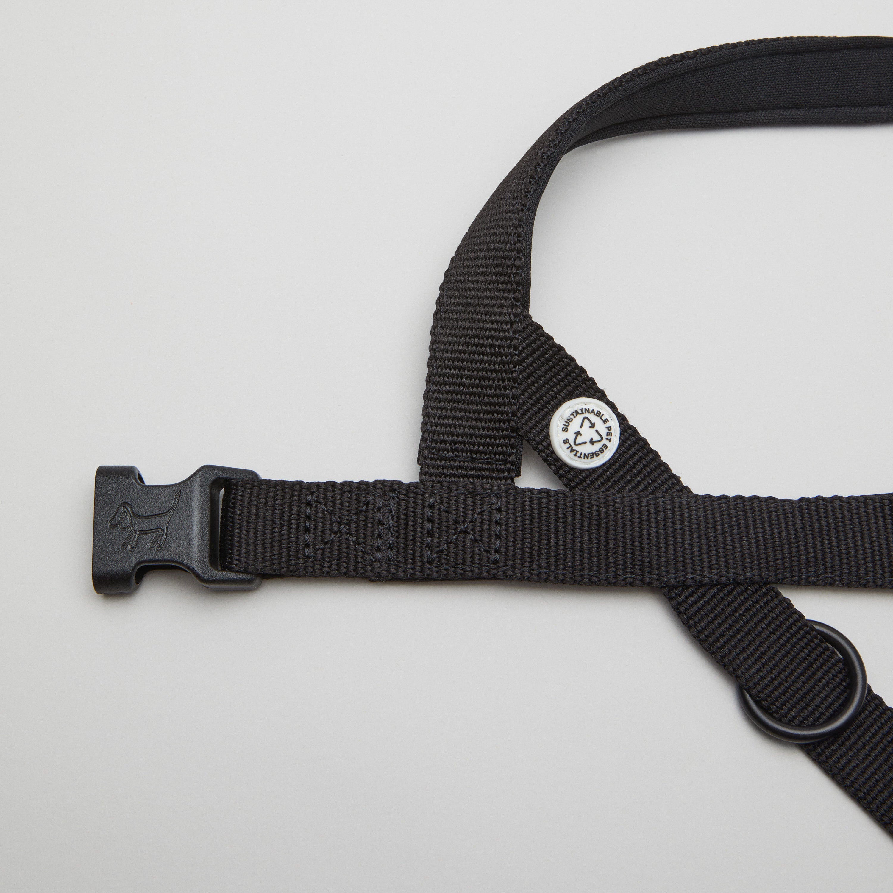 Walk Kit Harness & Walk Bag