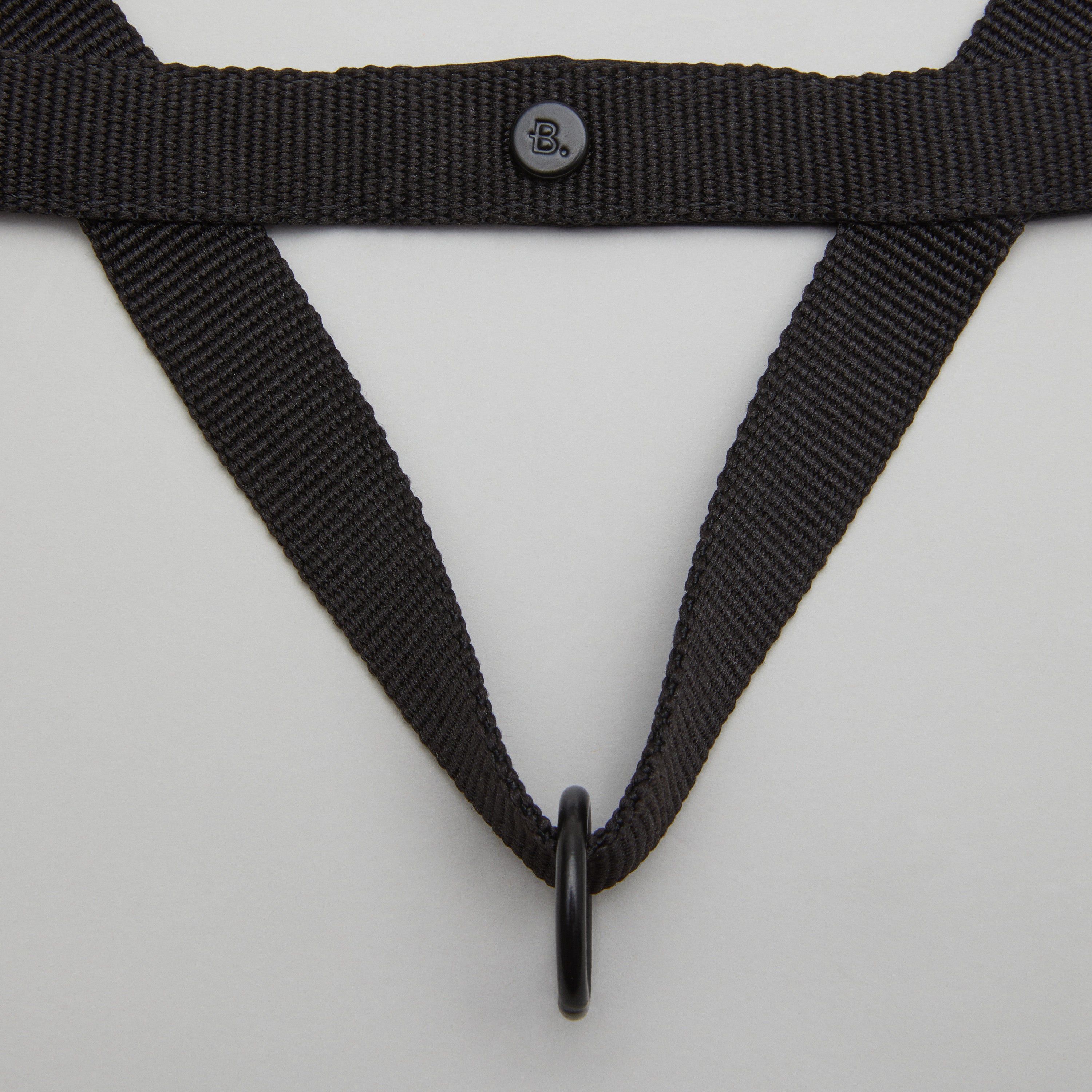 Pitch Black Dog Harness Walk Kit