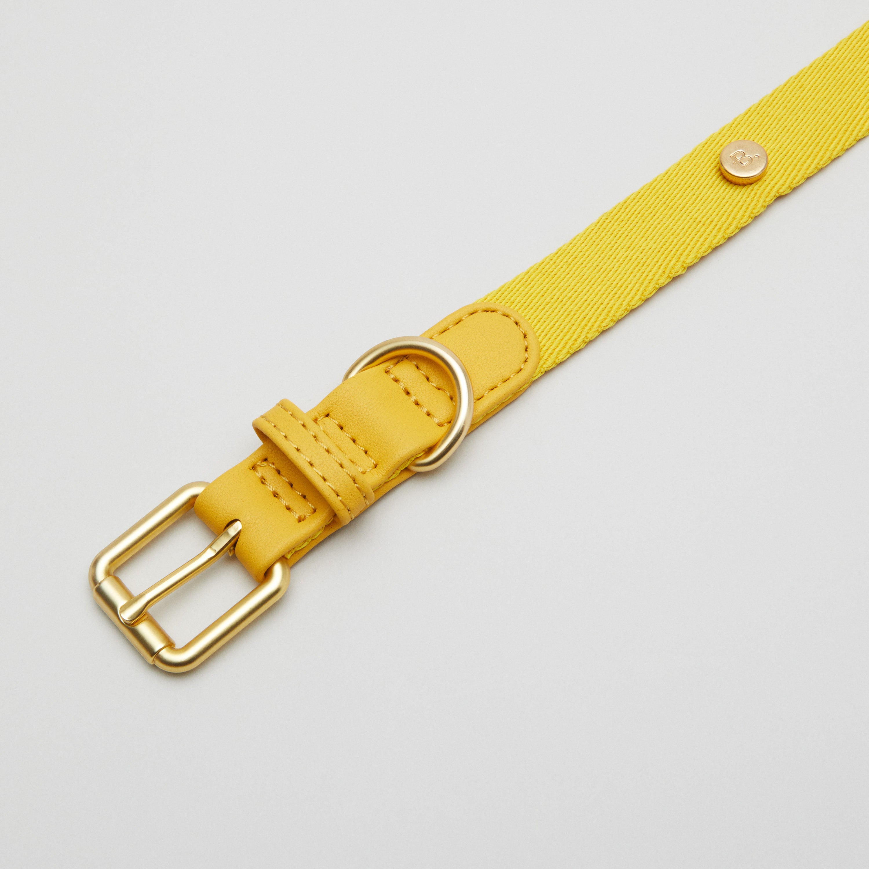 Yellow Dog Collar Walk Kit + Poop Bag Holder