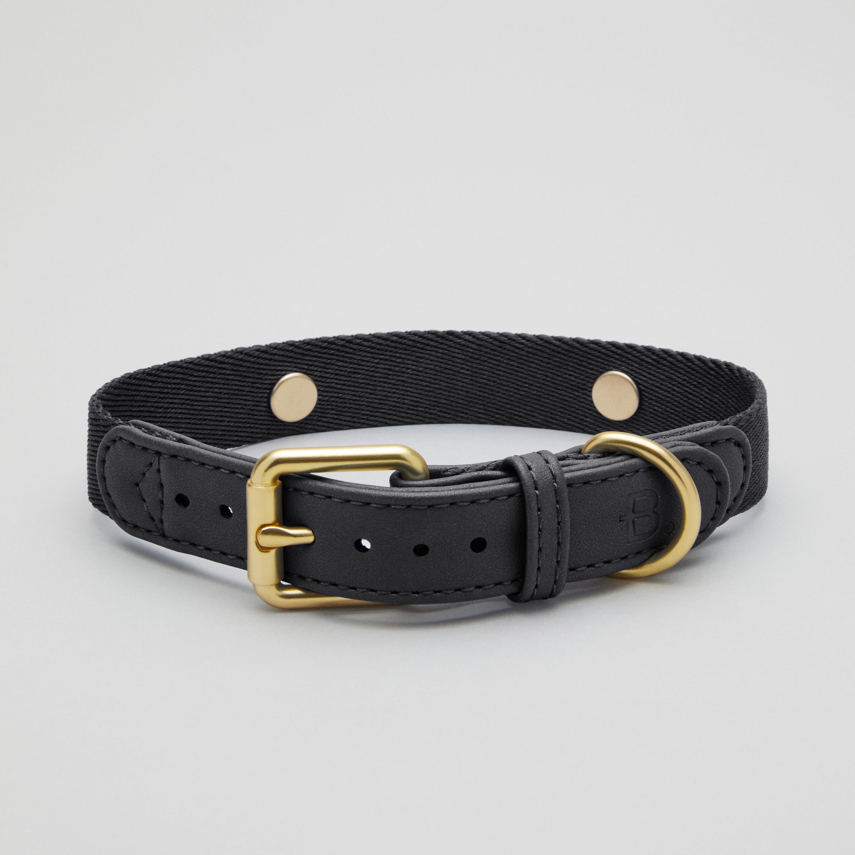 Black Dog Collar Walk Kit