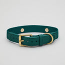 Green Dog Collar Walk Kit - Barkalot