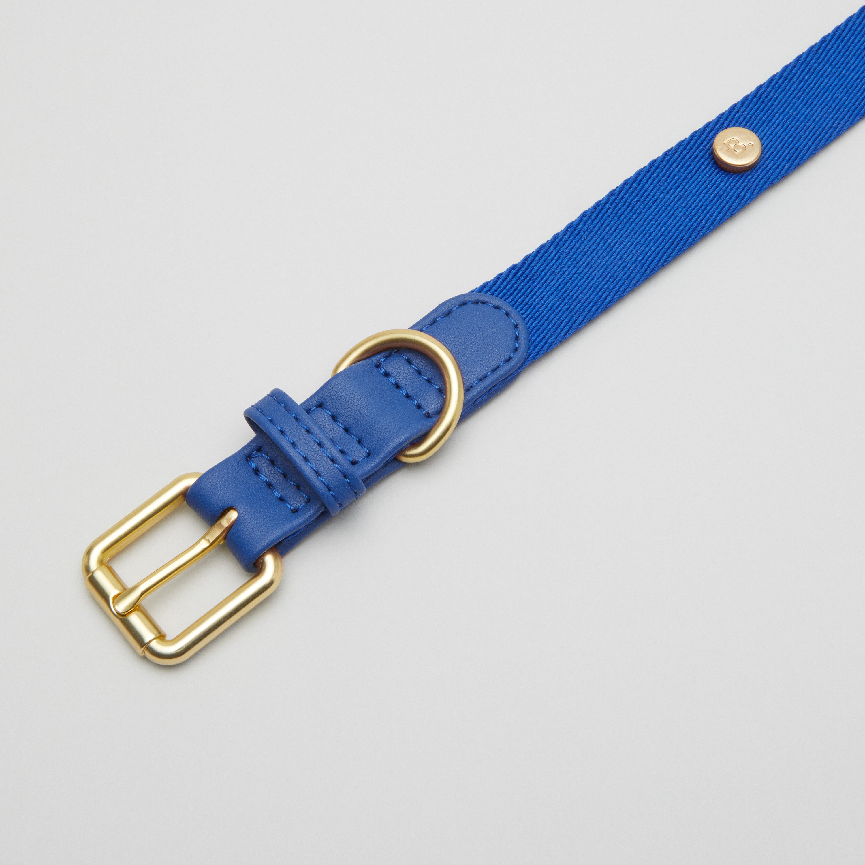 Blaues Hundehalsband Spaziergang Kit