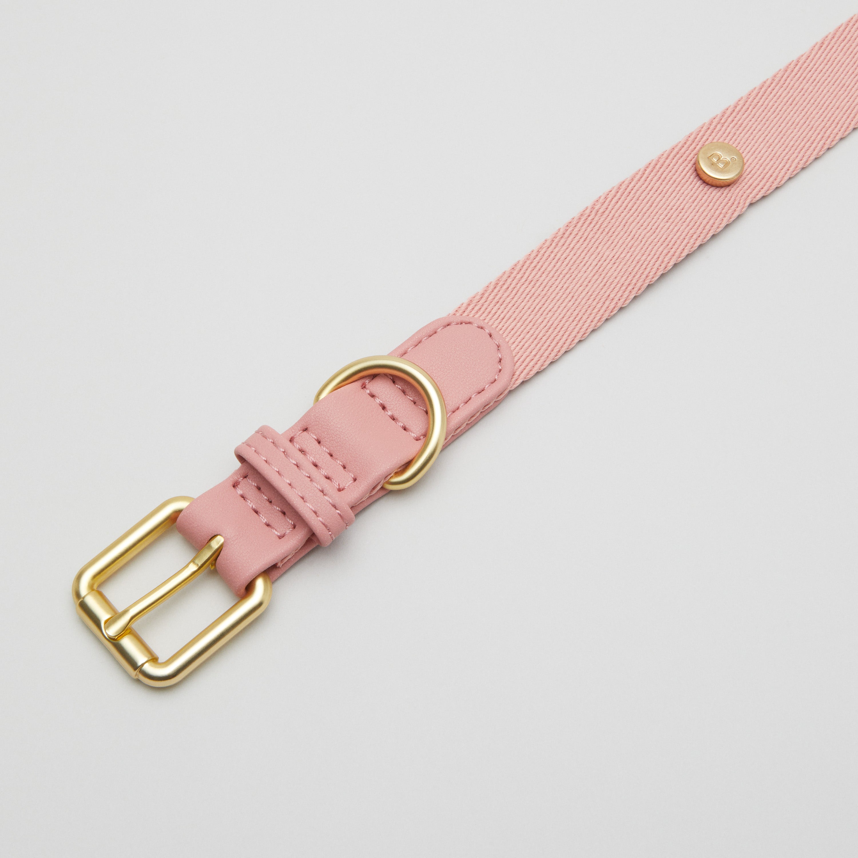 Pink Dog Collar Walk Kit