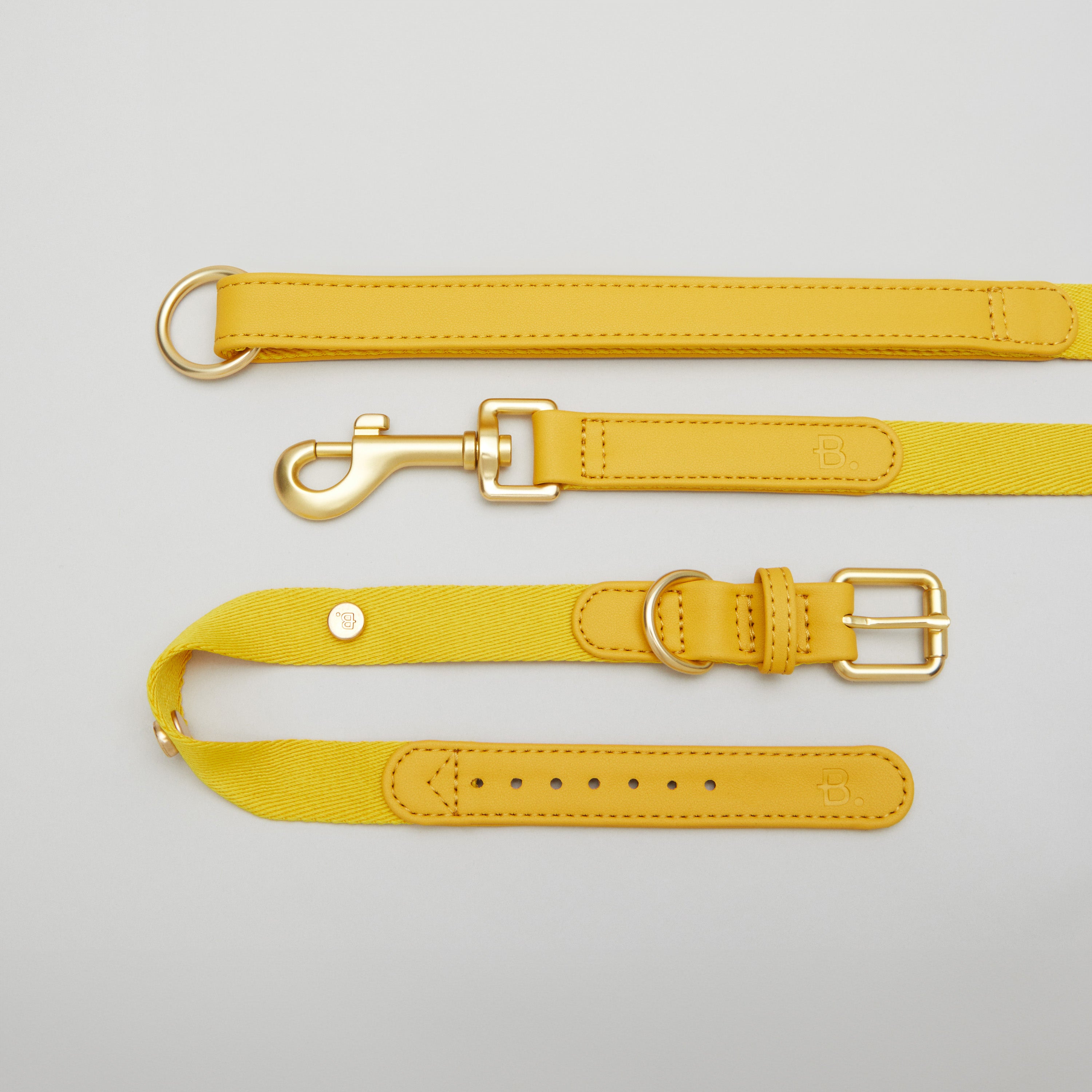 Gelbes Hundehalsband Spaziergang Kit