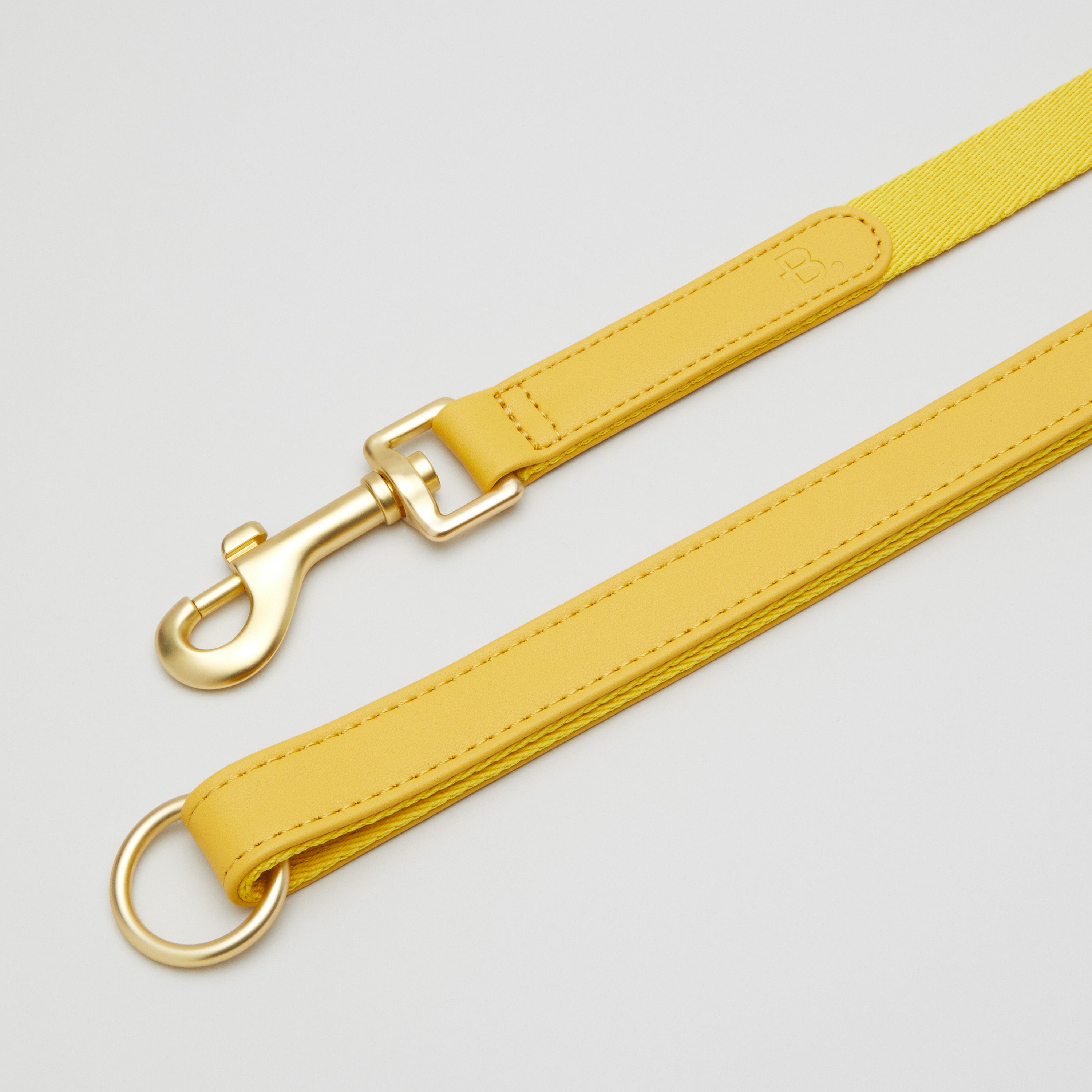 Gelbes Hundehalsband Spaziergang Kit