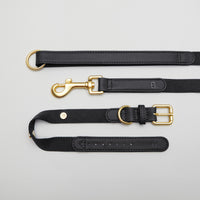 Black Dog Collar Walk Kit - Barkalot