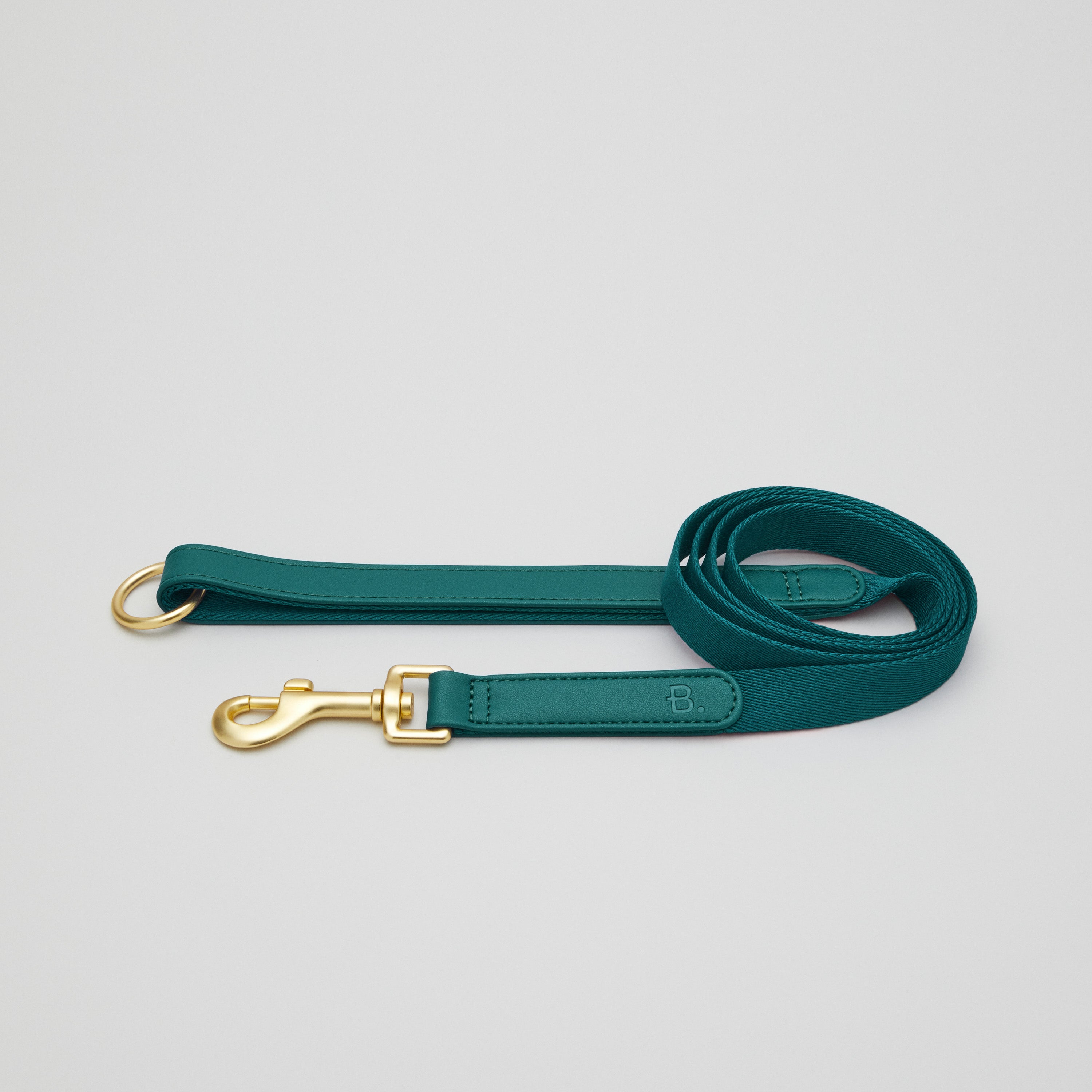 Green Dog Collar Walk Kit