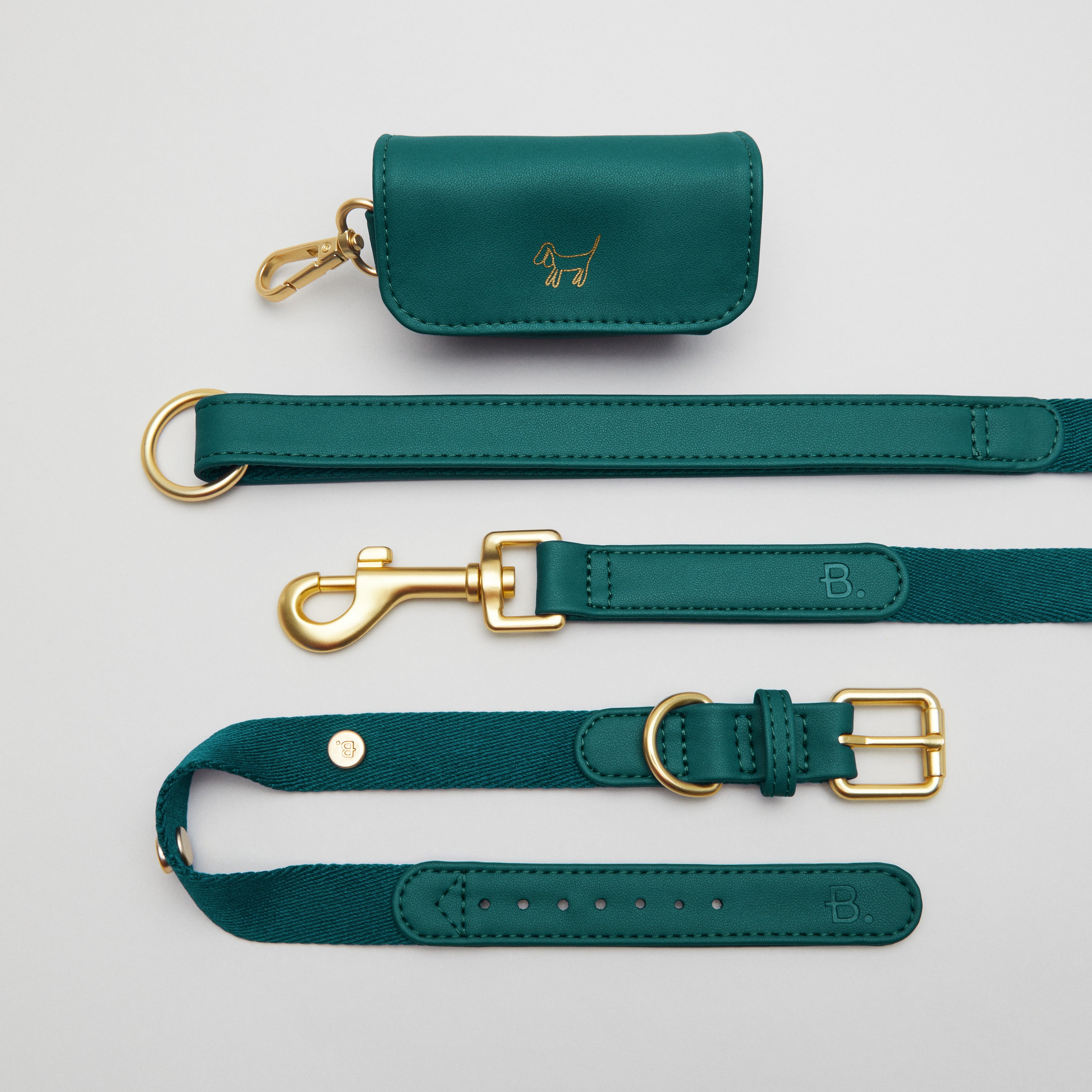 Green Dog Collar Walk Kit + Poop Bag Holder