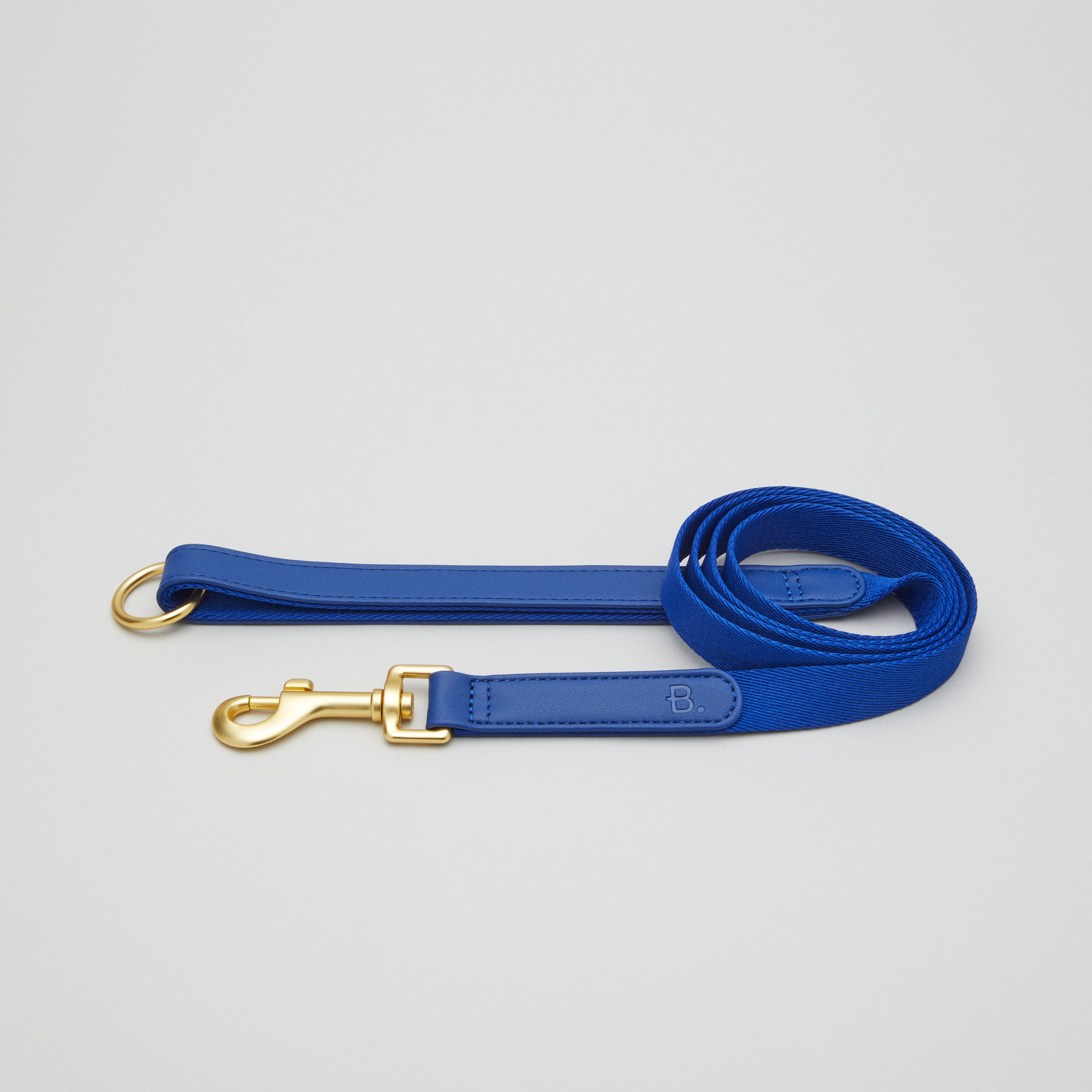 Kit de promenade pour collier de chien bleu + support pour sac à caca