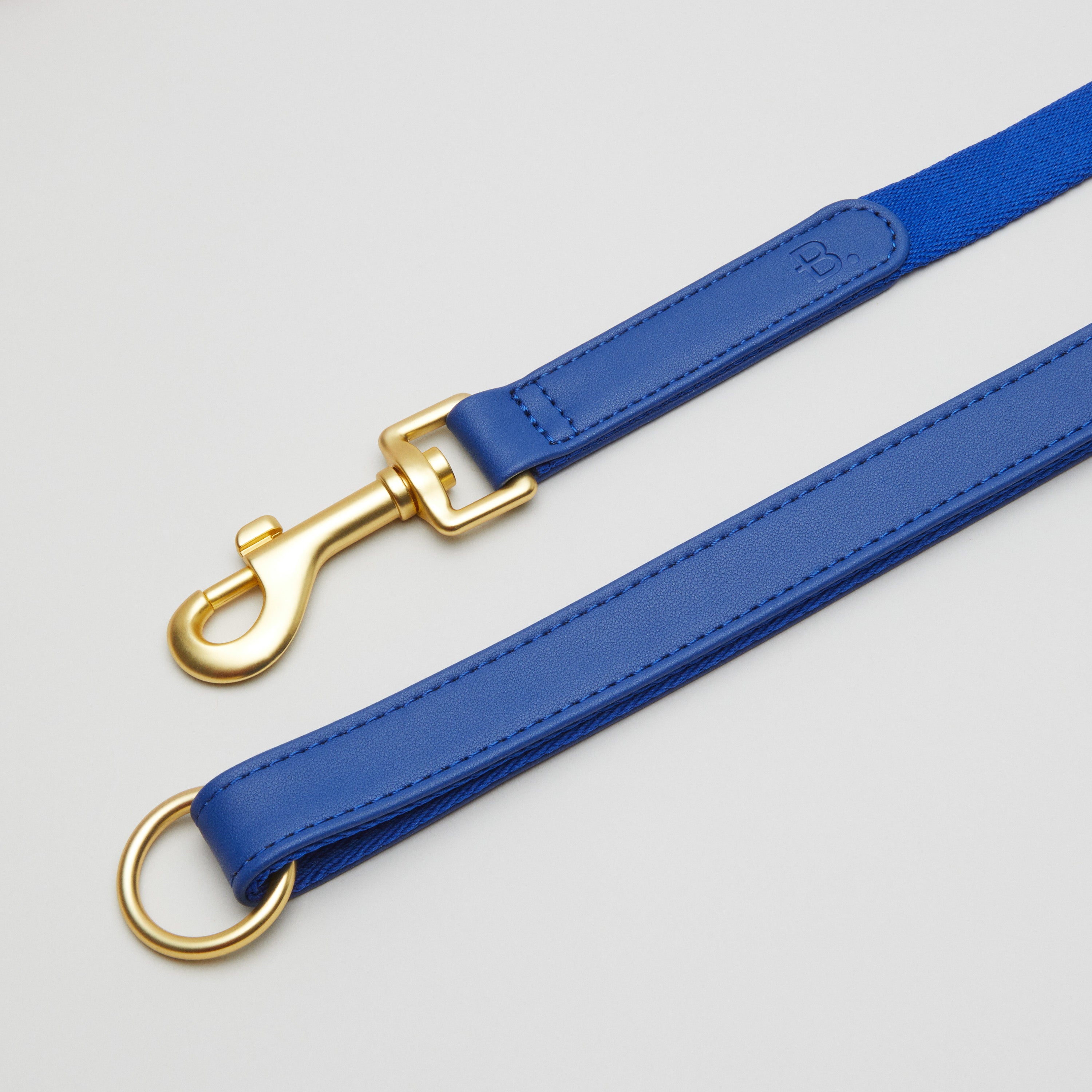 Kit de promenade pour collier de chien bleu + support pour sac à caca