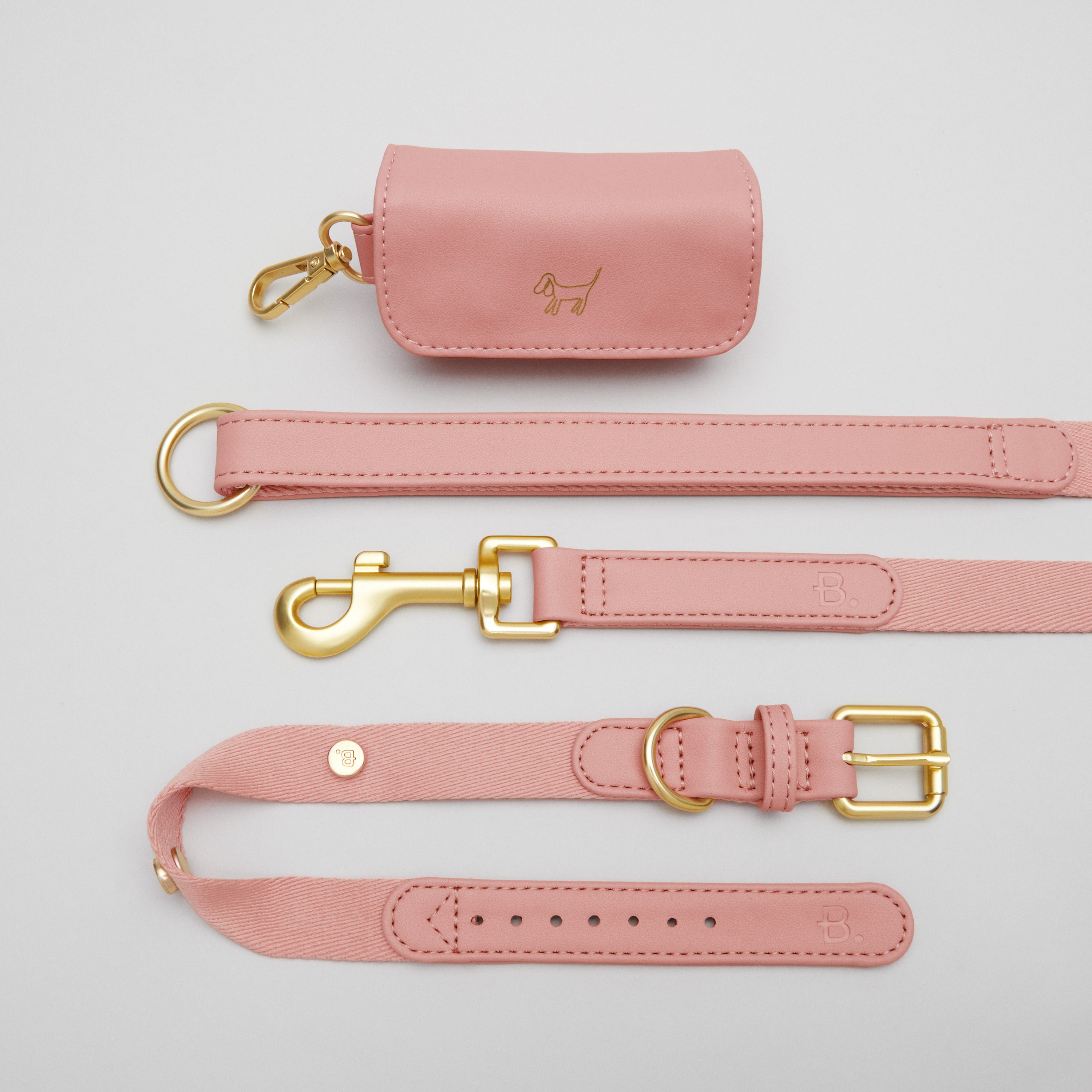 Pink Dog Collar Walk Kit + Poop Bag Holder