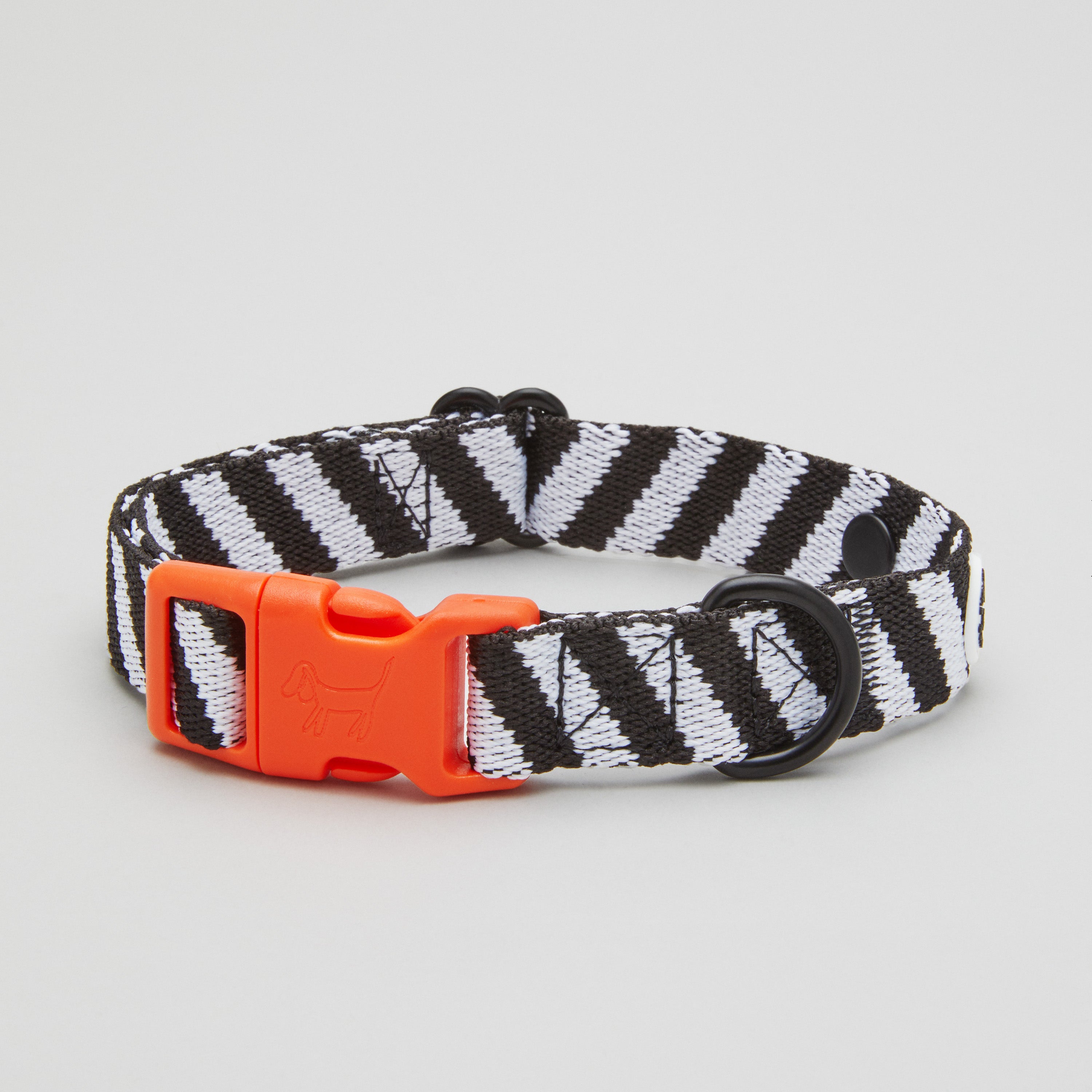 Zebra Dog Collar Walk Kit + Poop Bag Holder - Barkalot