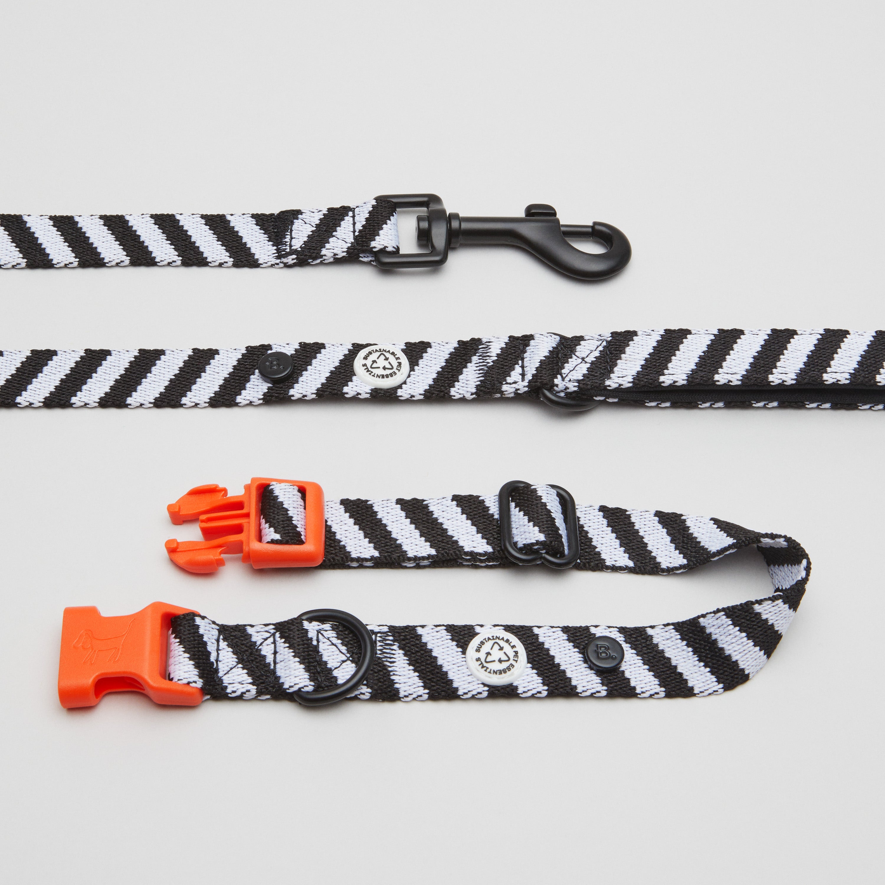 Kit de promenade pour collier de chien Zebra