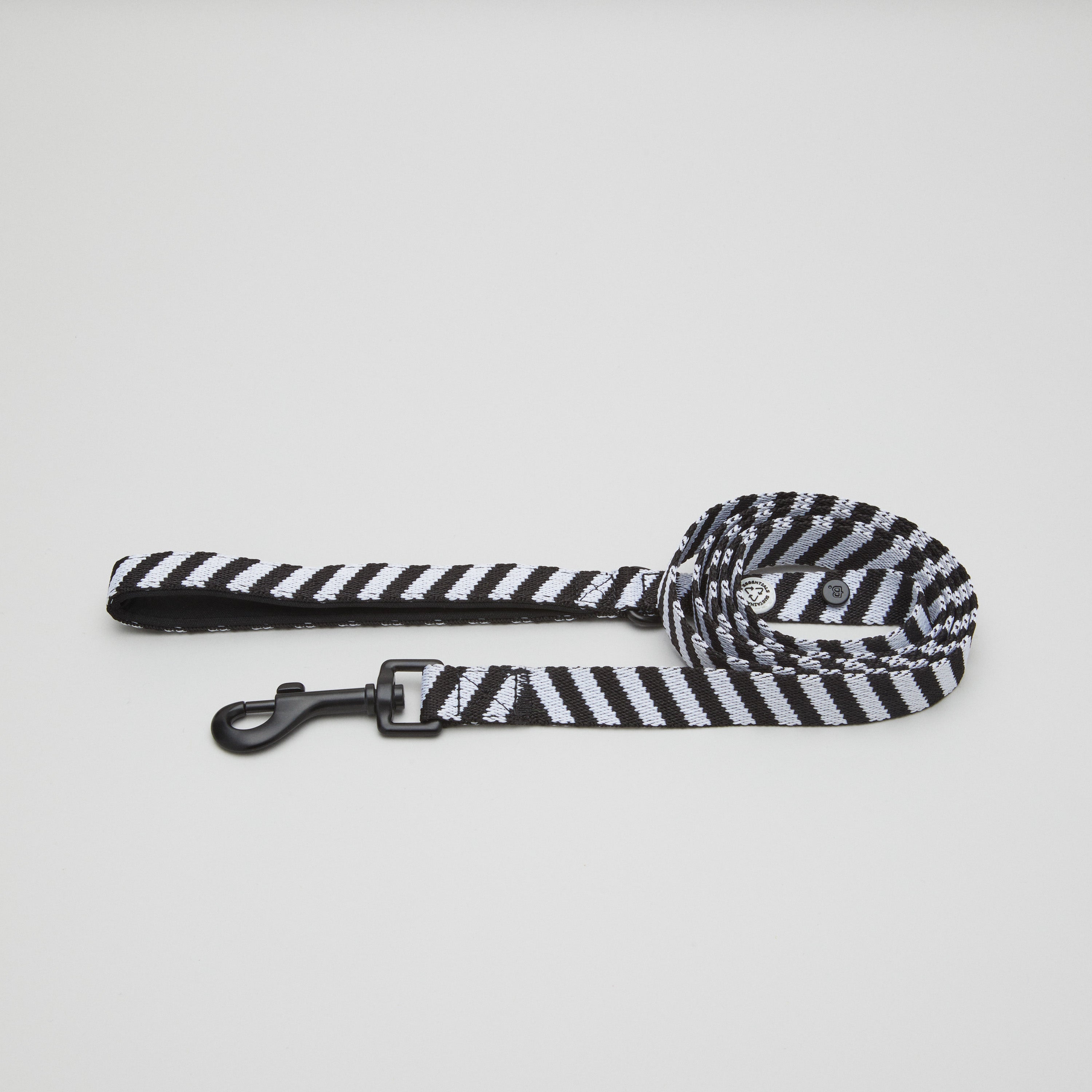 Zebra Hundehalsband Spaziergang Kit