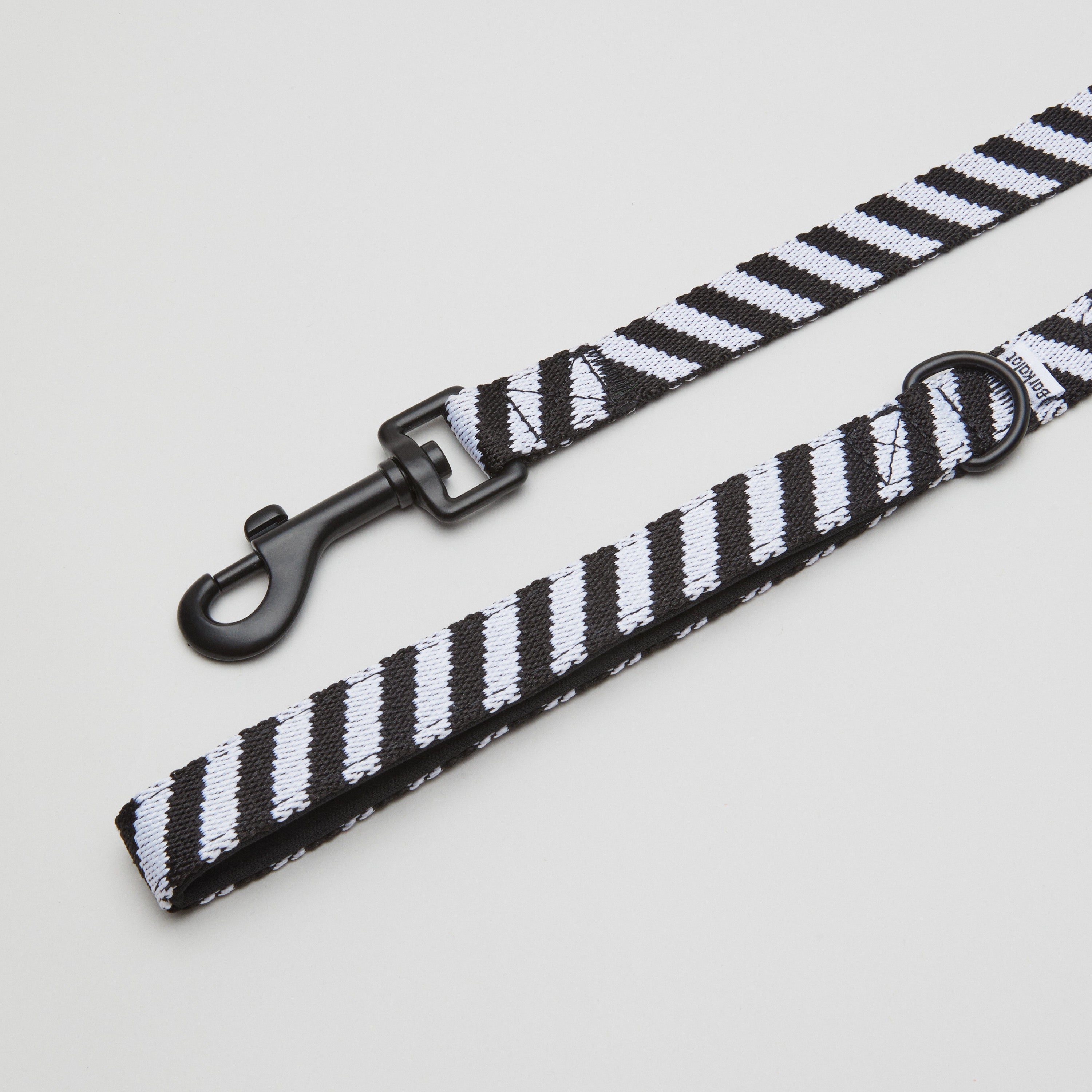Zebra Hundehalsband Spaziergang Kit