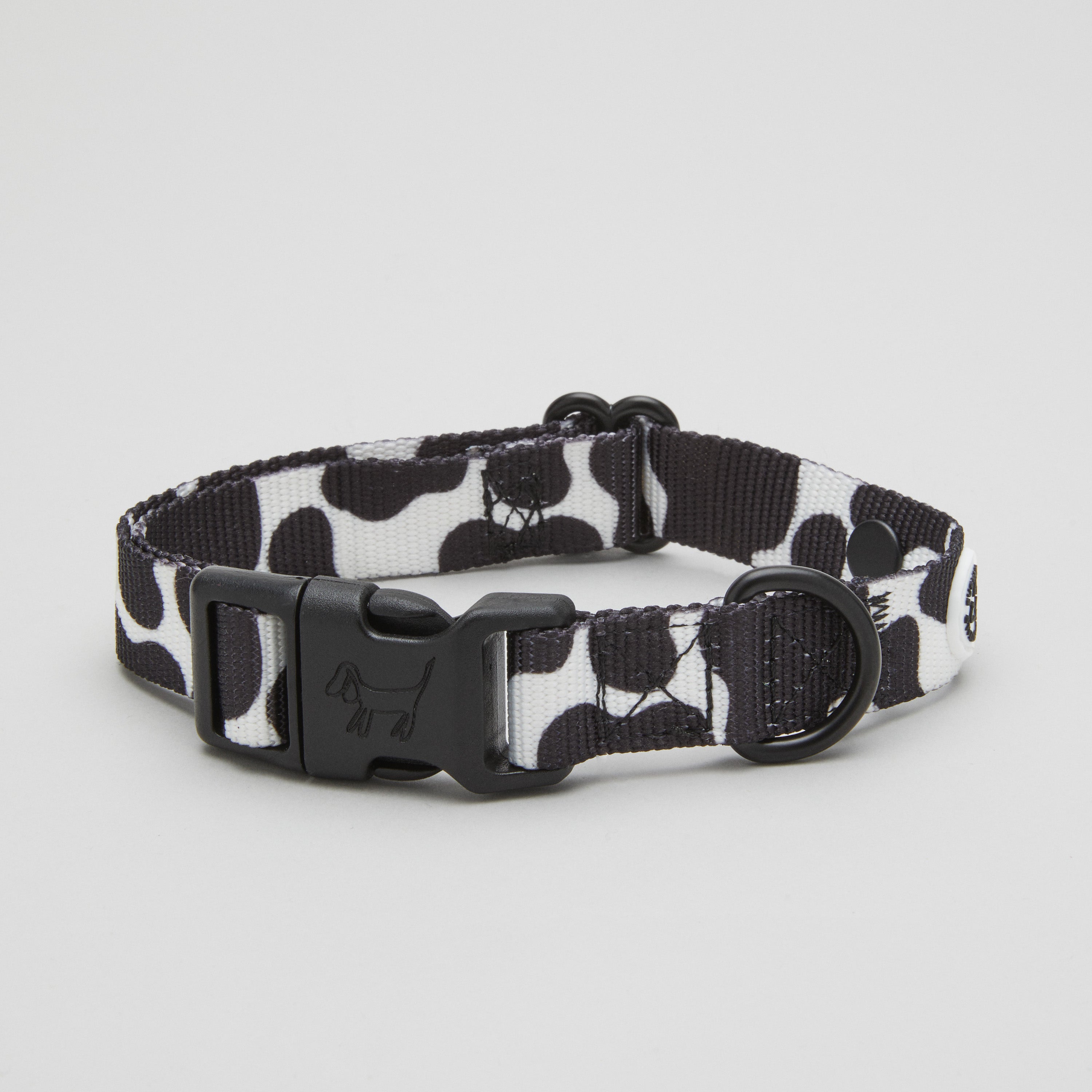 Cow Dog Collar Walk Kit