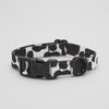 Cow Dog Collar Walk Kit - Barkalot
