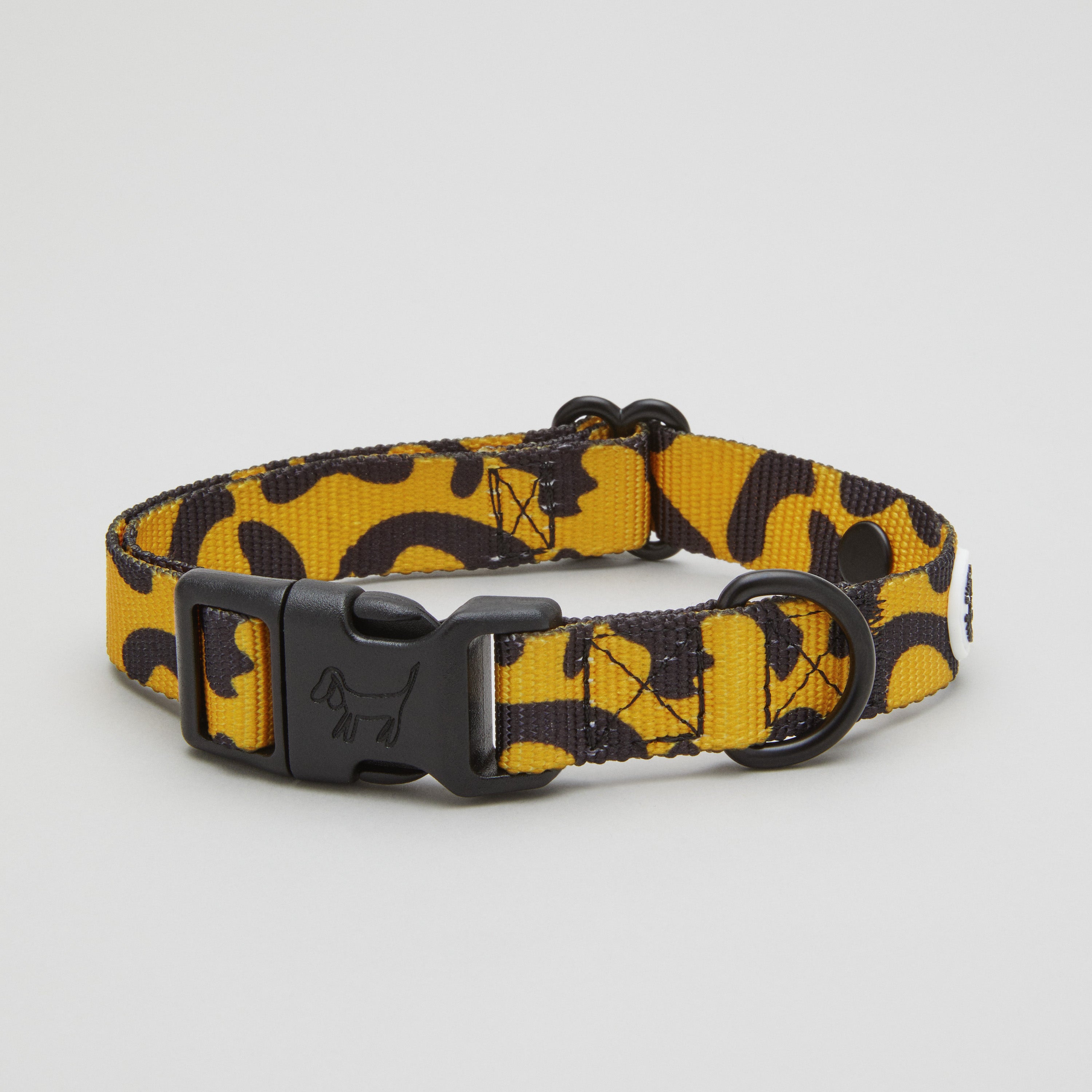 Leo Dog Collar Walk Kit