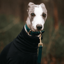 Green Dog Collar Walk Kit - Barkalot