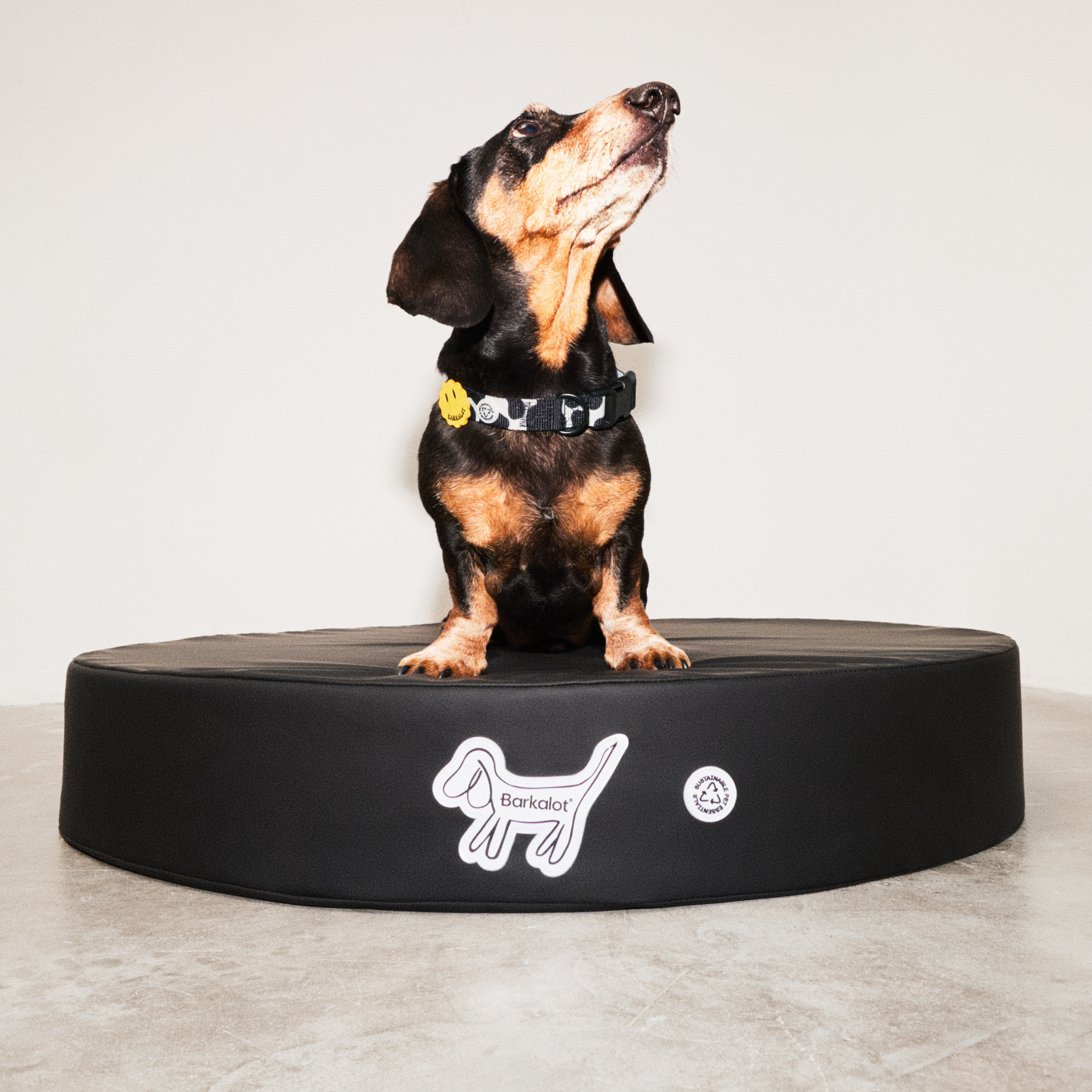 PRE-ORDER Black Up-cycled PVC Dog Bed