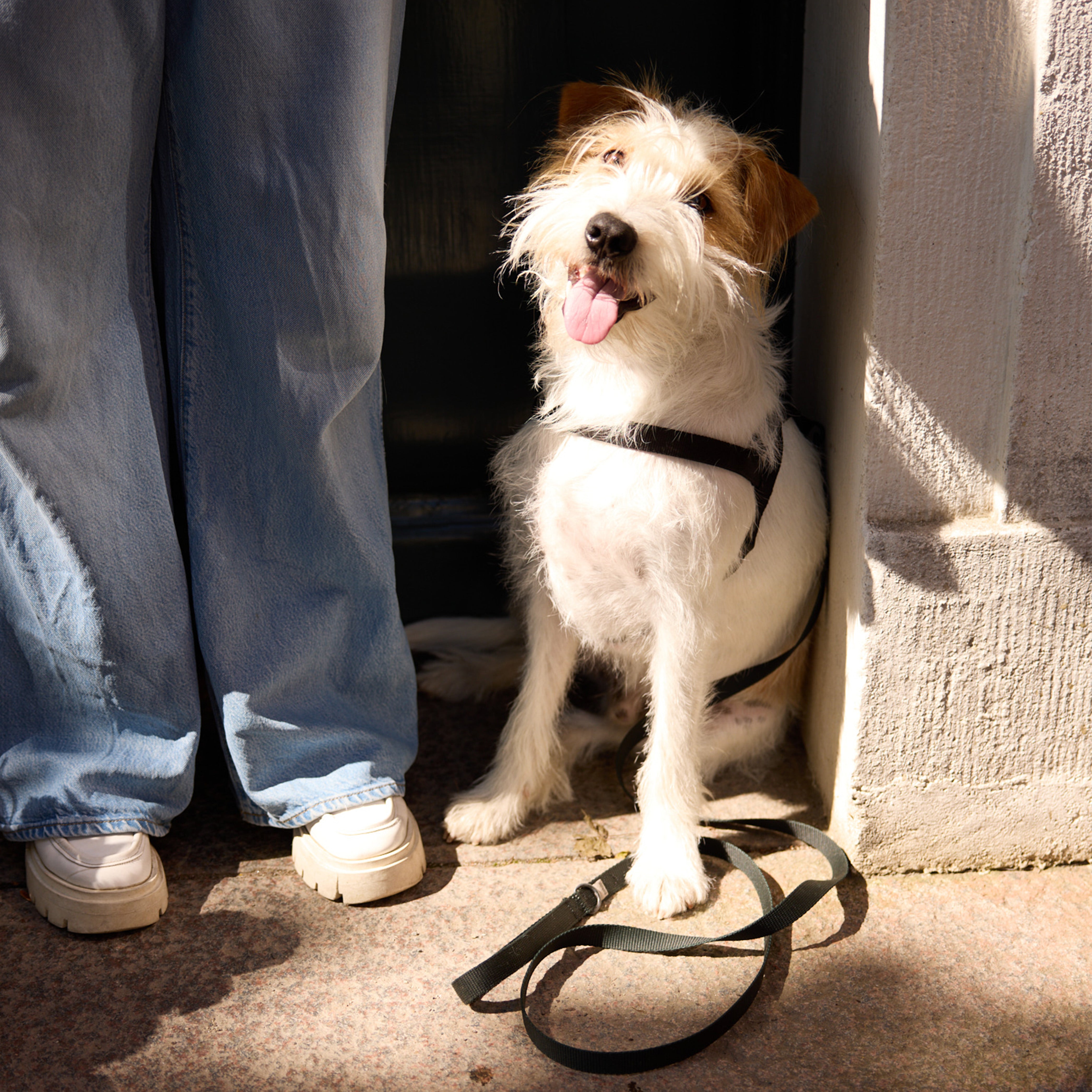 Walk Kit Harness & Walk Bag