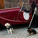 Pitch Black Dog Leash - Barkalot