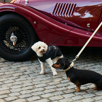 Padded Dog Coat - Barkalot