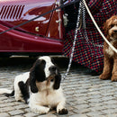 Cow Dog Leash - Barkalot