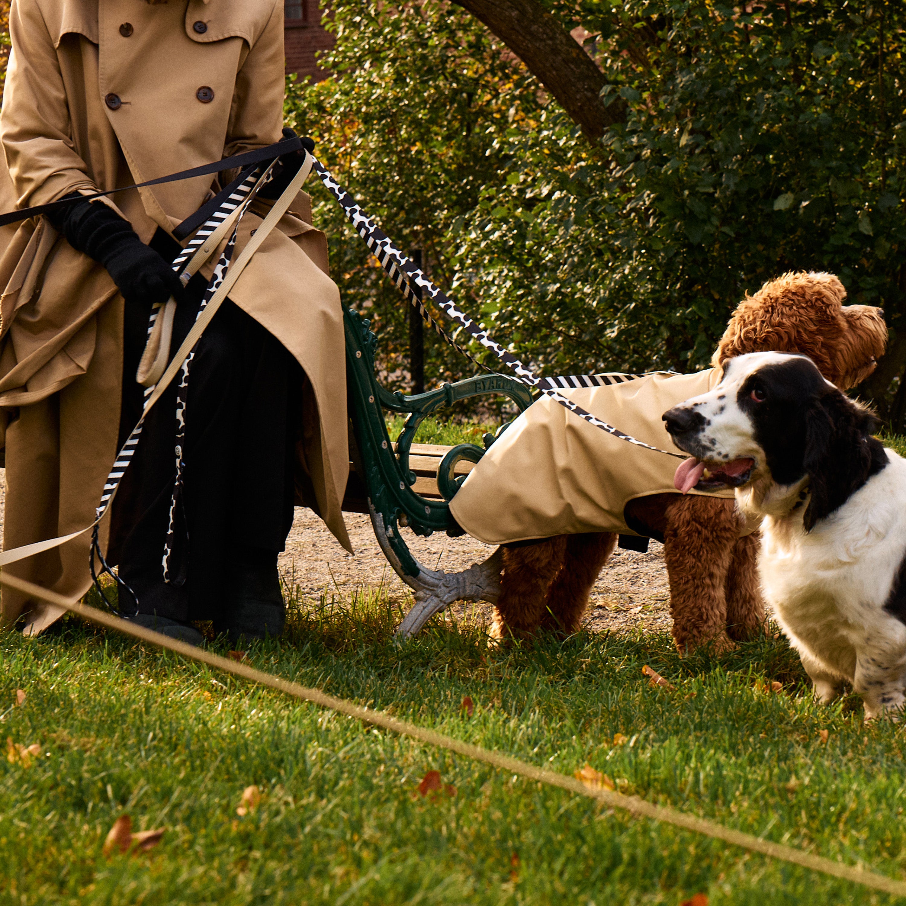 Cow Dog Leash - Barkalot