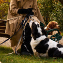 Cow Dog Collar - Barkalot