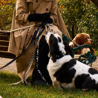 Cow Dog Collar - Barkalot