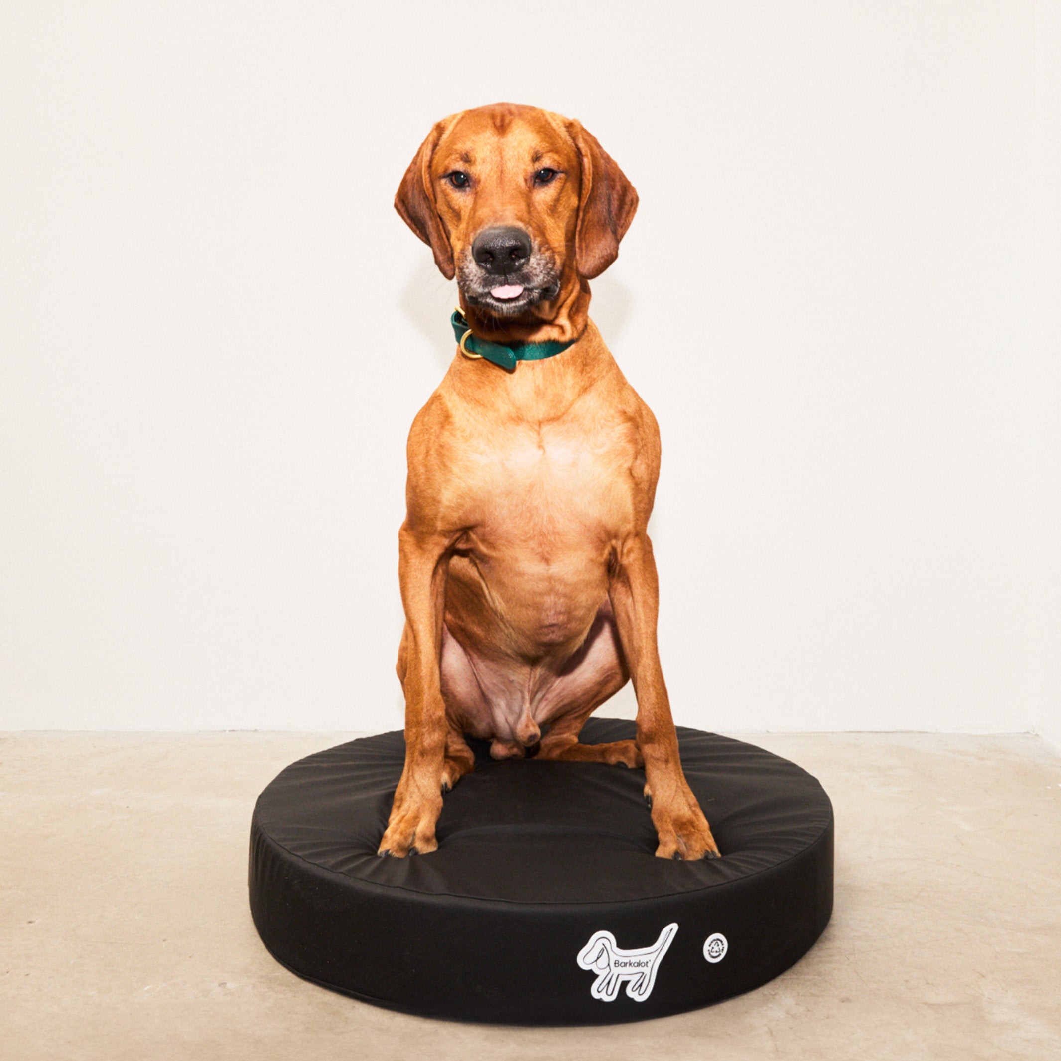 PRE-ORDER Black Up-cycled PVC Dog Bed