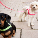 Mosebacke Dog Harness Pink - Barkalot