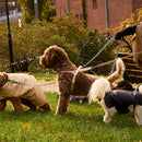 Sand Dog Harness - Barkalot