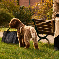 Sand Dog Harness - Barkalot