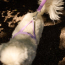 Lilac Dog Harness - Barkalot