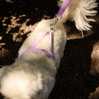 Lilac Dog Harness - Barkalot