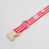 Mosebacke Walk Kit Dog Collar Pink - Barkalot