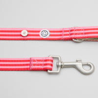 Mosebacke Walk Kit Dog Collar Pink - Barkalot